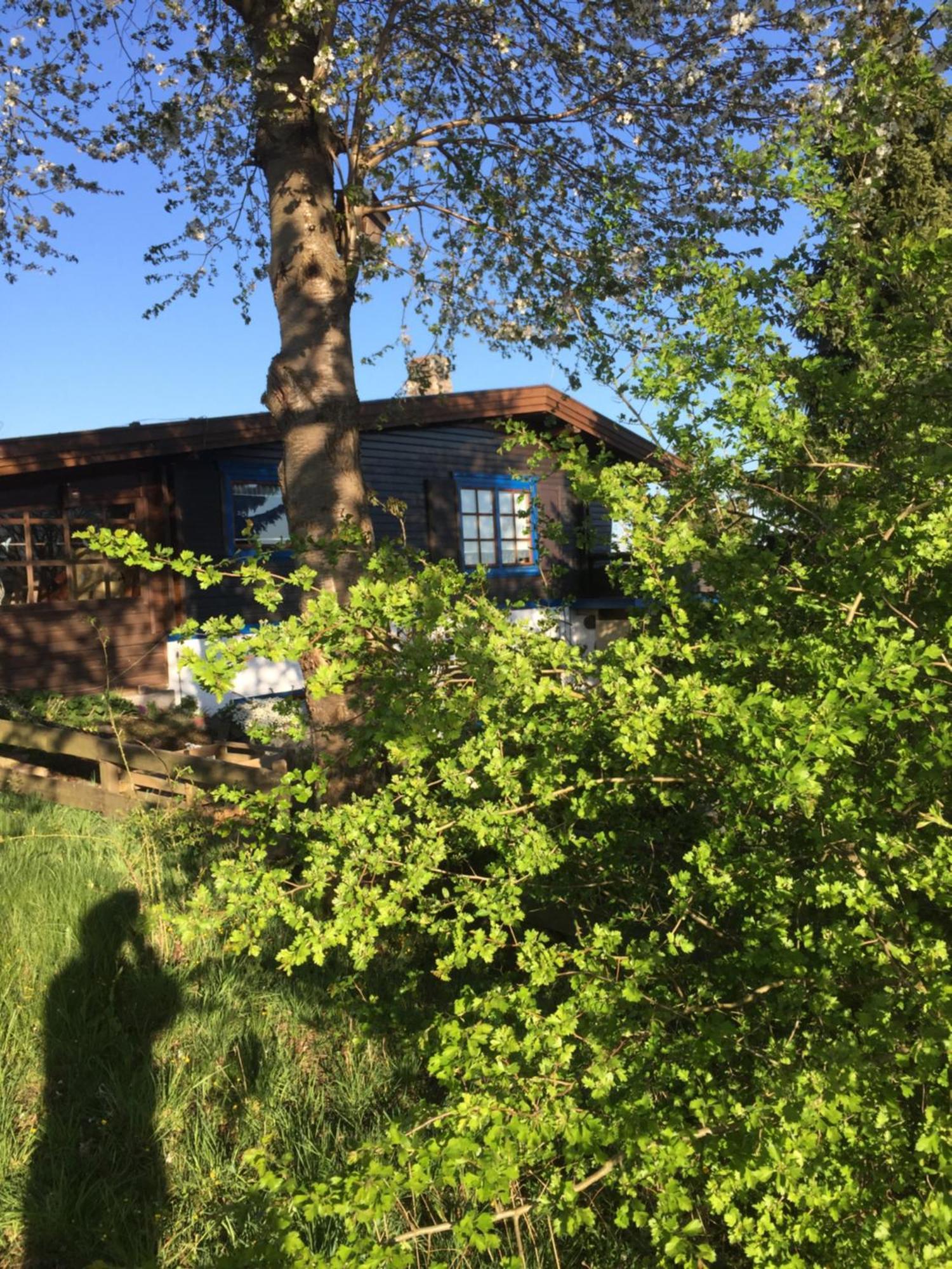 Natur Pur Mit Fernblick Fuer Wanderfreunde 바트사흐사 외부 사진